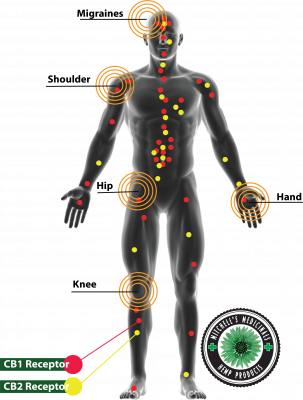 extract anxiety full spectrum PMS healing anxiety 3rd Party tested 3rd Party tested transdermal patch transdermal patch